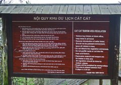 Catcat02