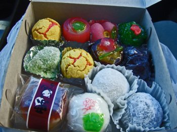 02092008_011 02092008_011