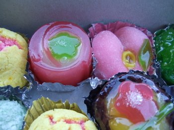 02092008_019 02092008_019