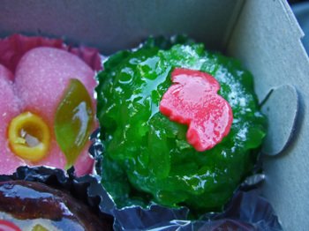 02092008_020 02092008_020