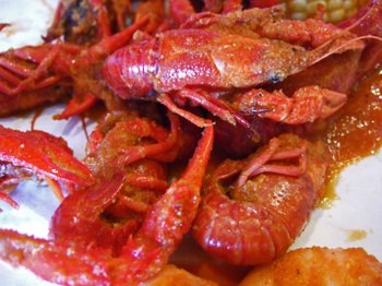 062107_021 062107_021