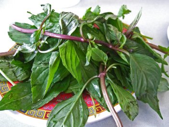 Binh_dan03_2 Binh_dan03_2