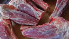 Brlambshanks03