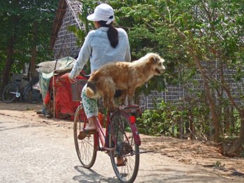 Cambodia200801_345
