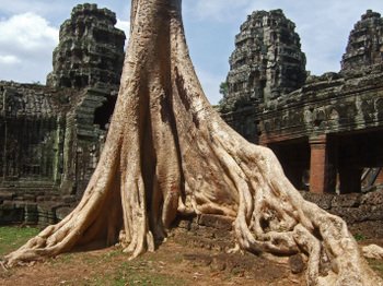 Cambodia200801_625