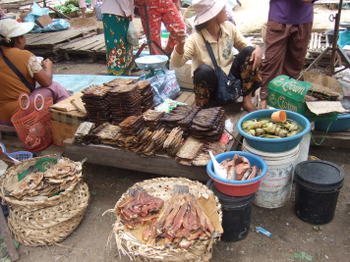 Cambodia200802_007