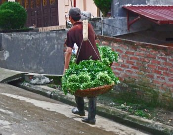 Chosapa05