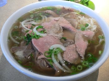 Connoodle02_1 Connoodle02_1