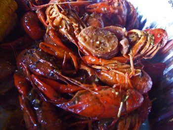 Crawdaddy03