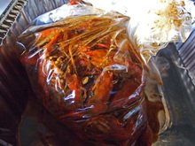 Crawdaddy04