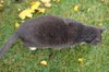 Dsc00808
