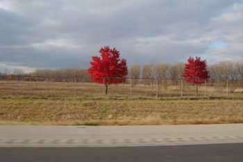 Dsc00860