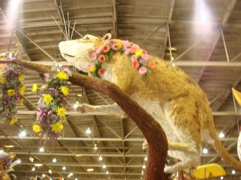Dsc01338_2