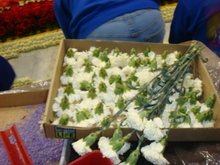 Dsc01346_2