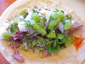 El_borrego10 El_borrego10