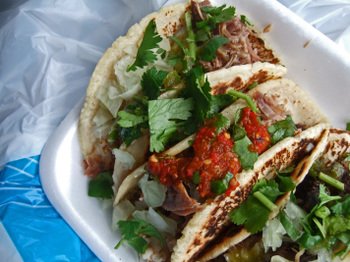 Elcompita05