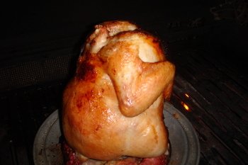Enema_chicken_005