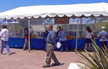 Greekfest0609