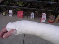 Halloween06_002_2