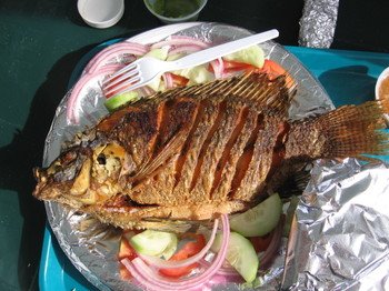 Img_0118