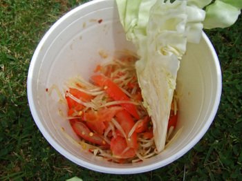 Laofest0709