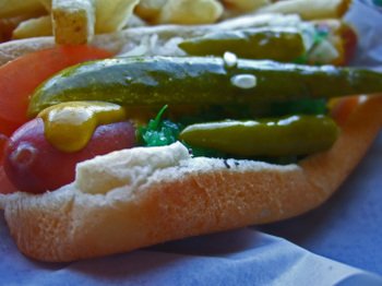 Leftyschicagodog05