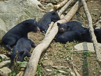 Matrataphin08