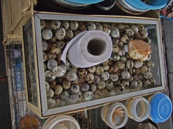 Mercadocentral16