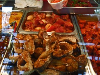 More_vien_dong_002