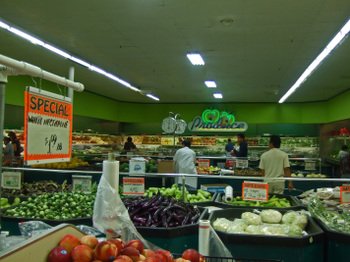 More_vien_dong_011
