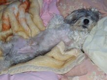 New_camera_003 New_camera_003