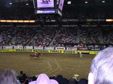 Nfr_007