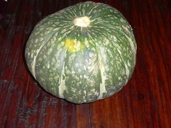 P1000525