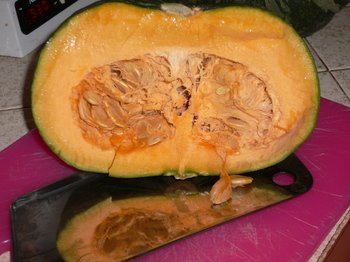 P1000526