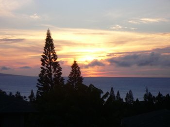 P1060329