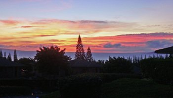 P1060334