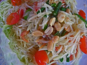Papaya_salad05