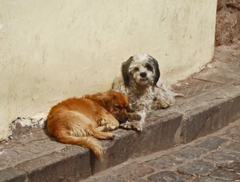 Peru1_094