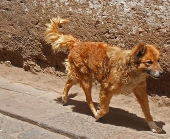 Peru1_105