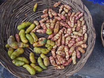 Peru1_110