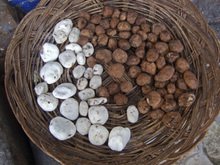 Peru1_115