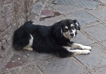 Peru1_150