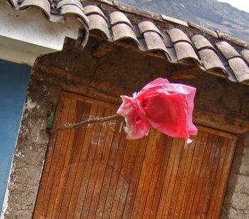 Peru1_334