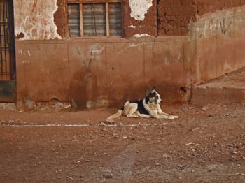 Peru1_468
