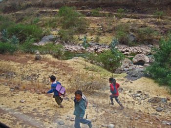 Peru1_490