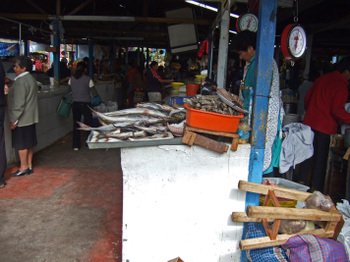 Peru2_143