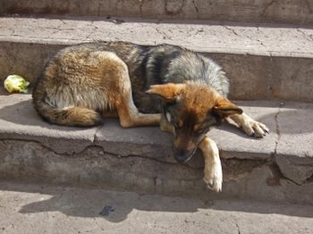 Peru2_149