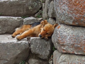 Peru3_140
