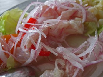 Pescadoscapitales09