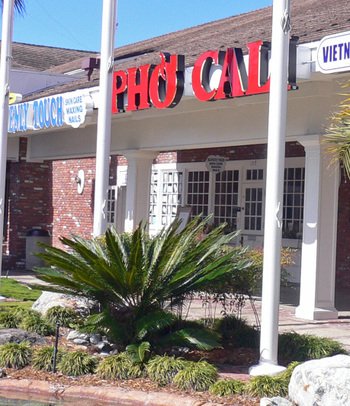 Phocali01